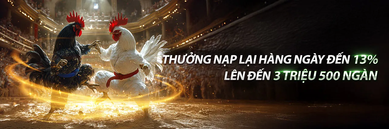 Hình ảnh đại diện cho cá cược có trách nhiệm tại SC88A5 nhà cái